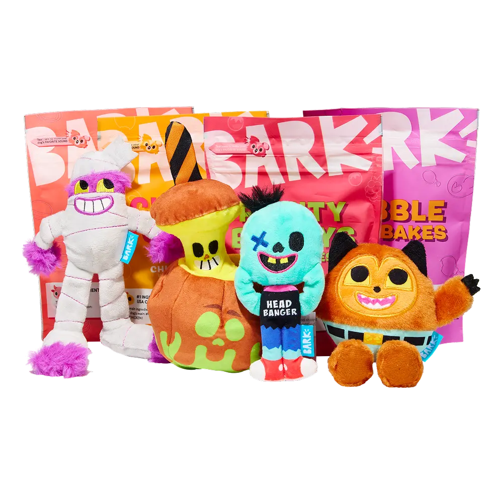 BARK 12 Month Subscription + Cardboard Box