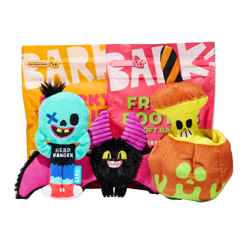 BARK 12 Month Subscription + Cardboard Box