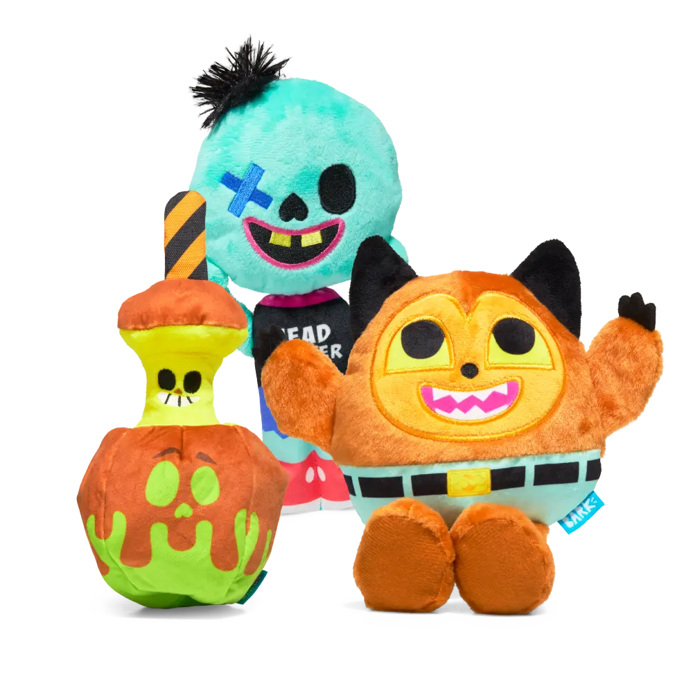 BARK 12 Month Subscription + Cardboard Box