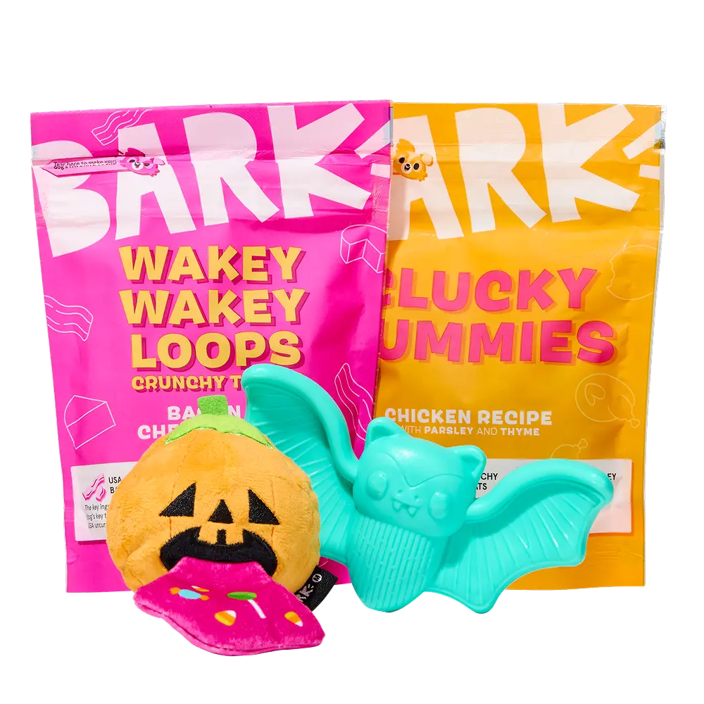 BARK 12 Month Subscription + Cardboard Box