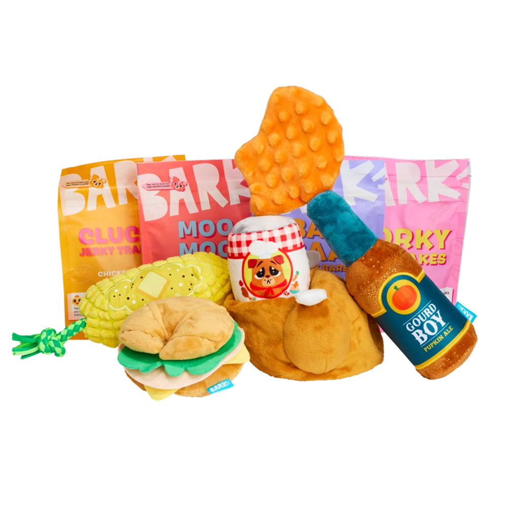 BARK 12 Month Subscription - FREE Extra Toys with Cardboard Box