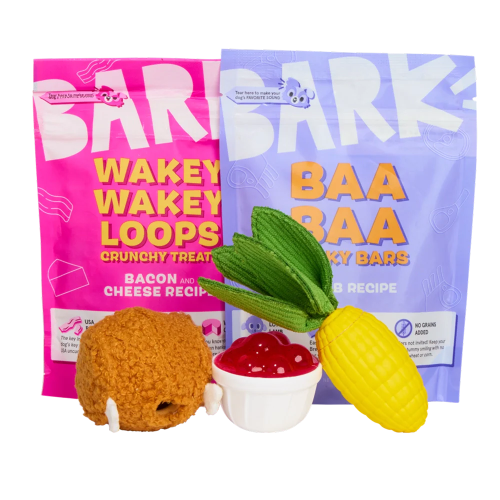 BARK 12 Month Subscription - FREE Extra Toys with Cardboard Box