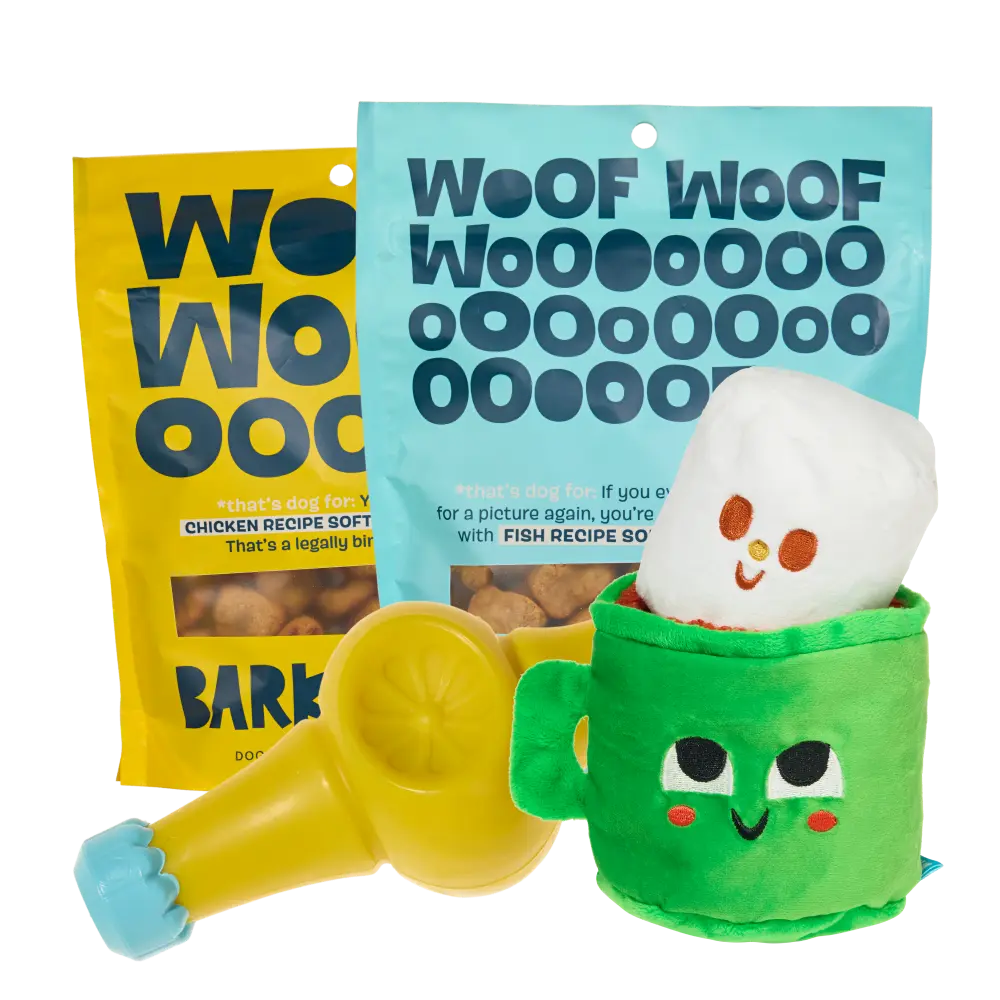 BARK 12 Month Subscription