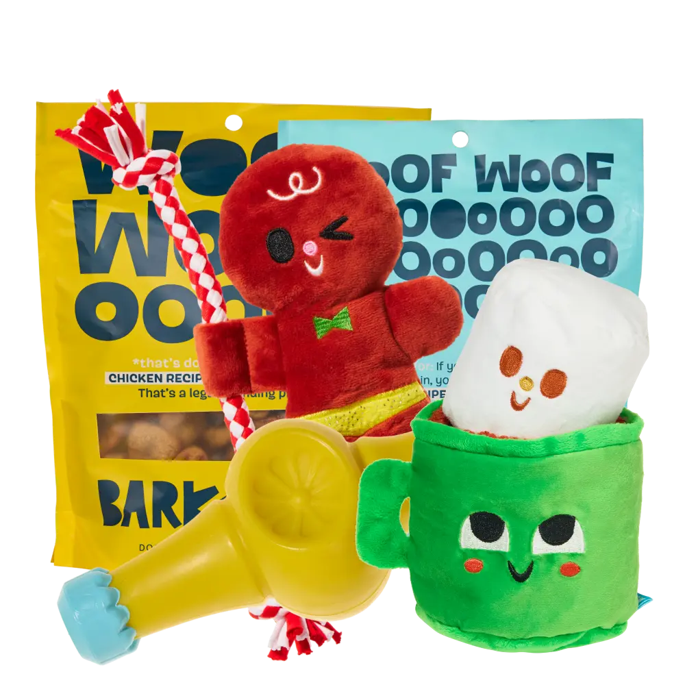 BARK 12 Month Subscription - FREE Extra Toys