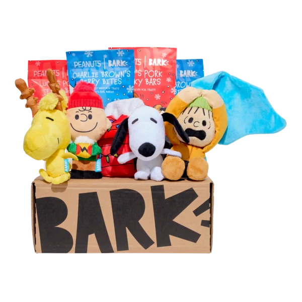BARK 12 Month Subscription - Peanuts Double Deluxe First Box