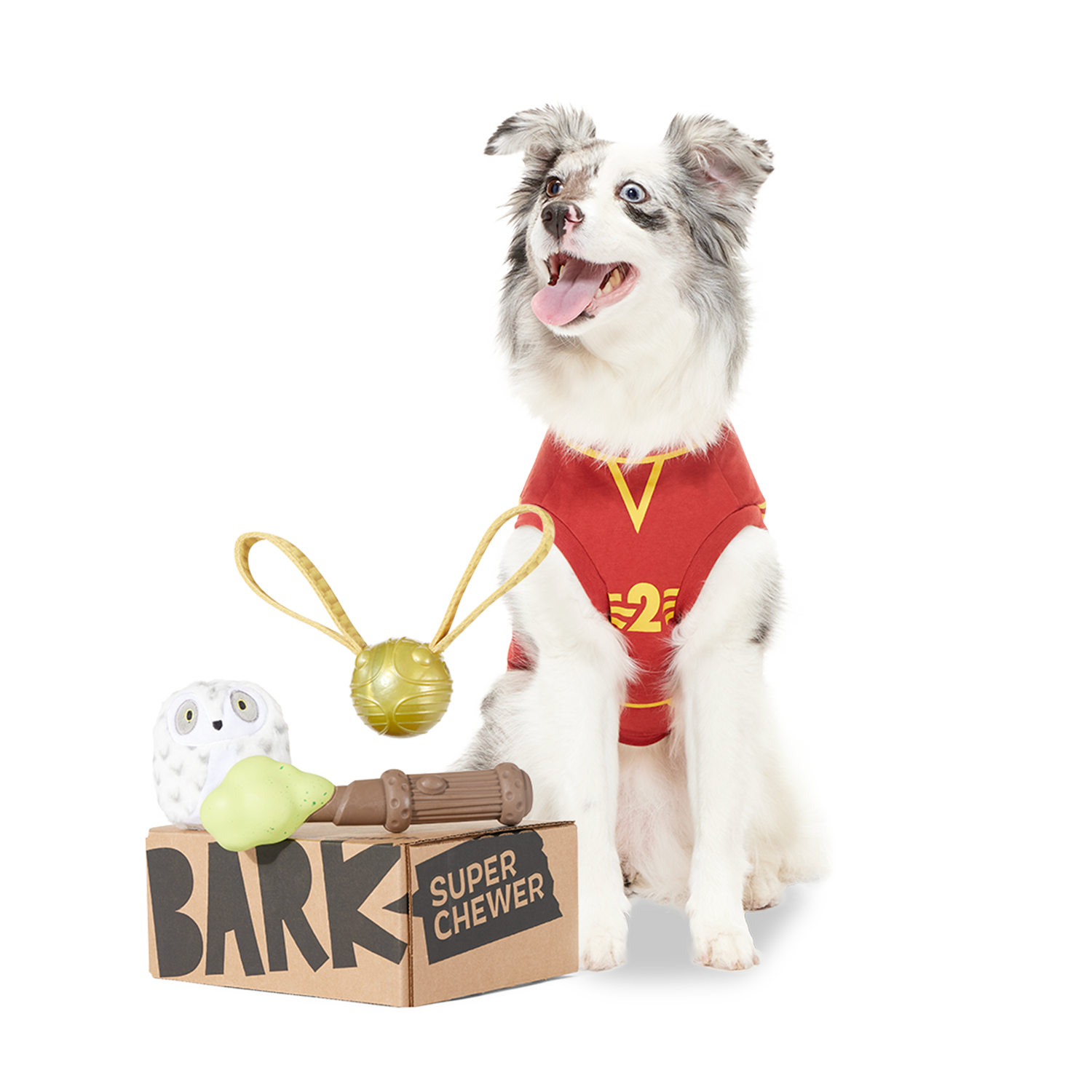 BARK 12 Month Subscription - Harry Potter First Box