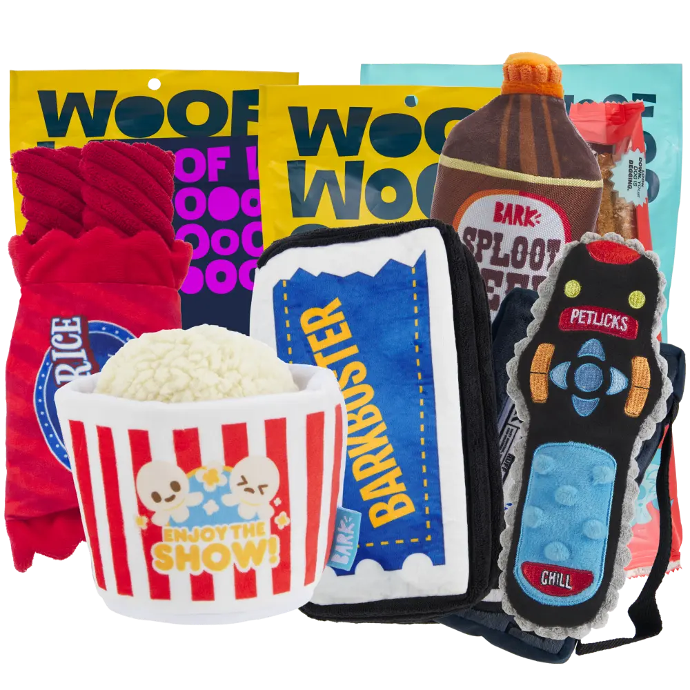 BARK 12 Month Subscription - FREE Extra Toys