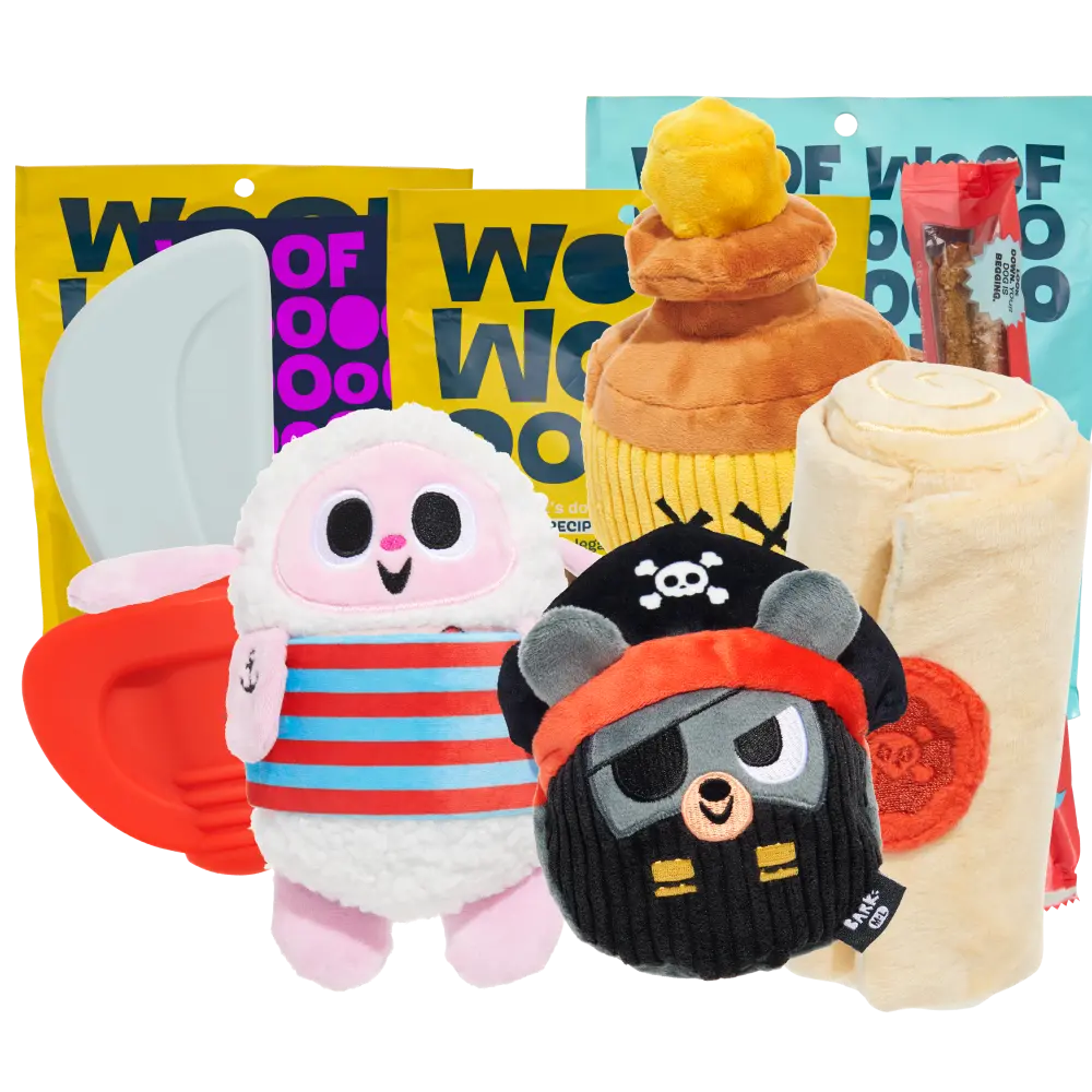 BARK 12 Month Subscription - FREE Extra Toys