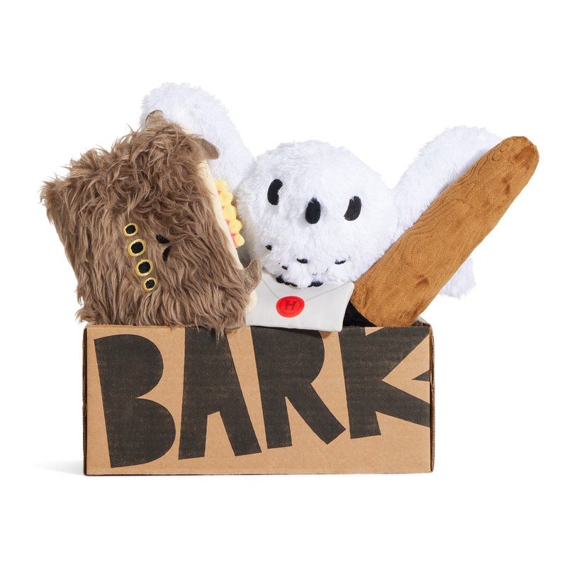 BARK 12 Month Subscription - Harry Potter First Box